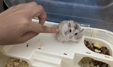 fe3b67d8cc7c4ae78da3e3fc7ea4f4af.png fe3b67d8cc7c4ae78da3e3fc7ea4f4af.png